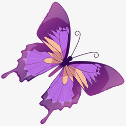 美丽的紫色蝴蝶素材