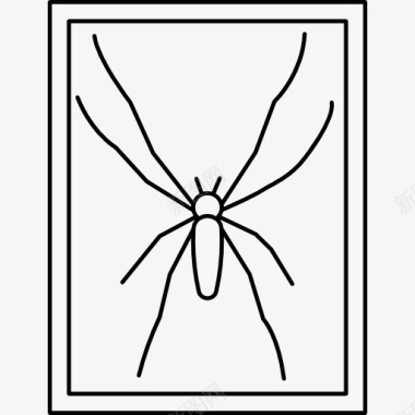 免扣动物图蜘蛛图标图标