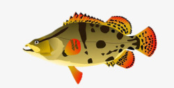卡通手绘斑点热带鱼素材