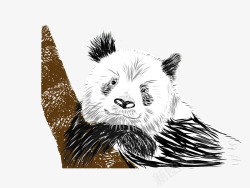 手绘熊猫图案素材