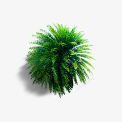 绿色纹理质感热带植物元素素材
