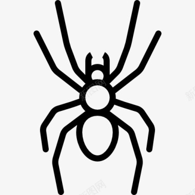 野生大蜘蛛图标图标