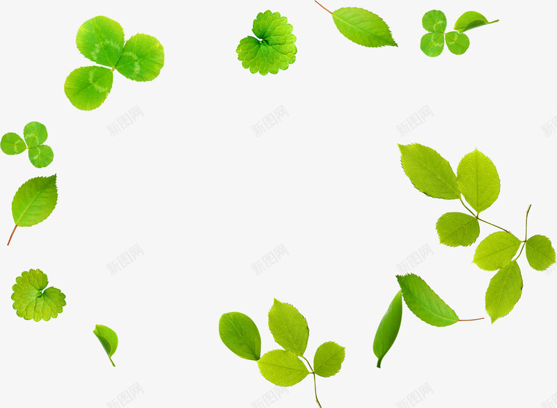 创意合成绿色的树叶效果造型png免抠素材_88icon https://88icon.com 创意 合成 效果 树叶 绿色 造型