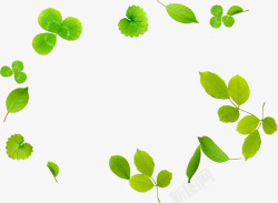 创意合成绿色的树叶效果造型素材