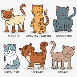 创意彩绘宠物猫咪素材