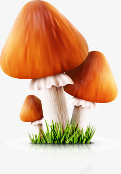 卡通手绘蘑菇造型装饰素材