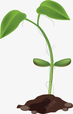 生长豆茎小型绿色卡通豆茎矢量图高清图片