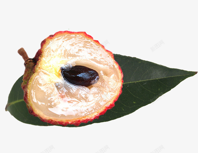 半个桂味荔枝png免抠素材_88icon https://88icon.com 产品实物 半个桂味荔枝免抠PNG 果实 桂味荔枝 热带水果 荔枝叶 酸甜