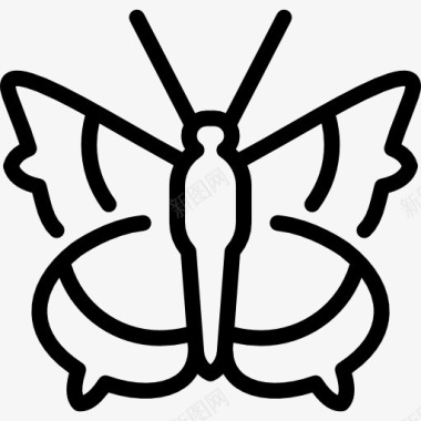昆虫设计坎伯威尔蝴蝶图标图标