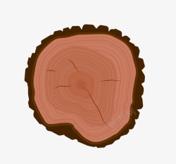 香樟木木材截面年轮手绘教学素材