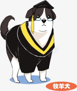 博士帽博士服穿博士服的牧羊犬高清图片