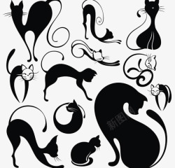 猫咪形象黑色猫咪剪影高清图片