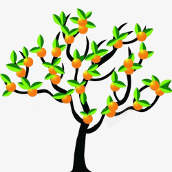 茂密的橘树素材