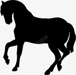 黑色背景黑色扁平风格动物造型马图标图标