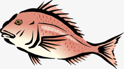水彩鲤鱼装饰图案矢量图素材