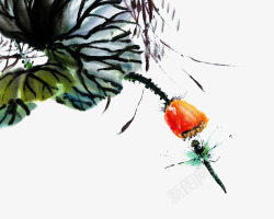 花朵虫子手绘蜻蜓花朵水墨画高清图片