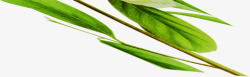 创意扁平风格绿色的竹叶造型素材