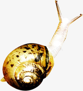 黄色可爱蜗牛造型png免抠素材_88icon https://88icon.com 可爱 蜗牛 造型 黄色