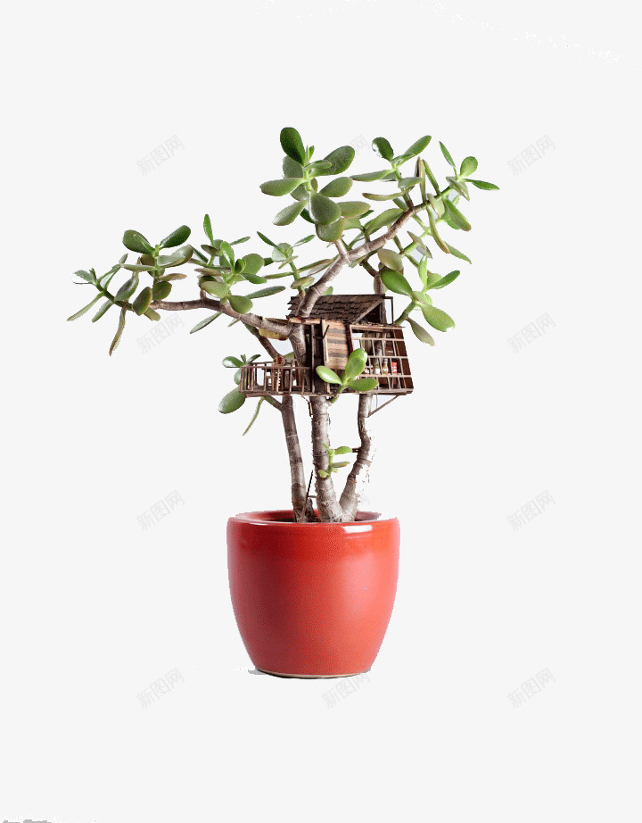 创意盆景树屋艺术植物png免抠素材_88icon https://88icon.com 创新 卡通 卡通树屋 植物 盆景 艺术 设计