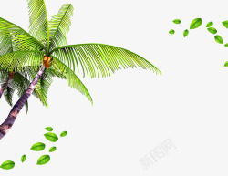 椰树树叶装饰背景素材