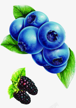 桑葚蓝莓素材