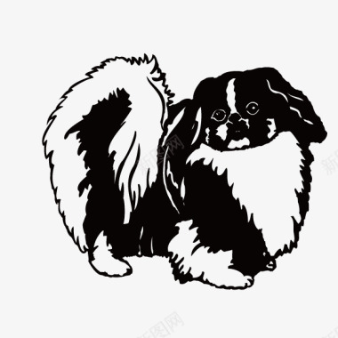 可爱的黑白色狮子狗图标图标