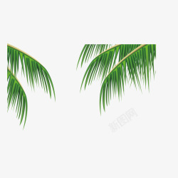 夏日清新椰树树叶矢量图素材