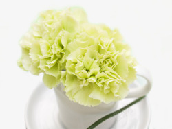 绿色惬意生活花朵杯子素材