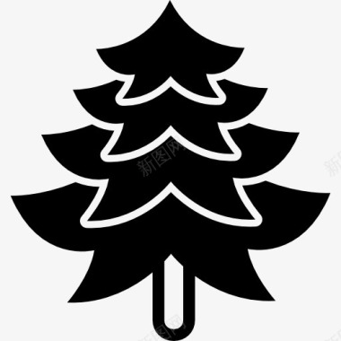 冬天的松树大松树的形状图标图标