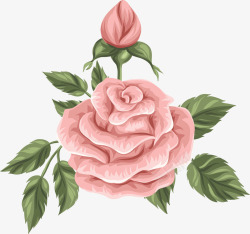 精美温馨玫瑰花装饰矢量图素材