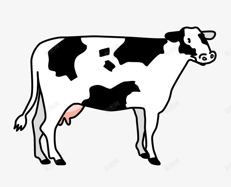手绘奶牛png免抠素材_88icon https://88icon.com 动物 卡通 哺乳动物 奶牛 手绘 牛