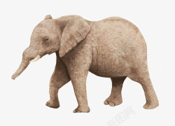 走路的大象走路的大象高清图片