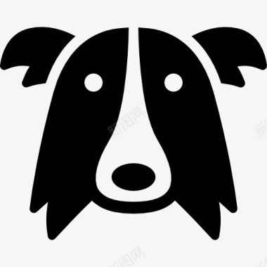 狗边境牧羊犬的头部图标图标