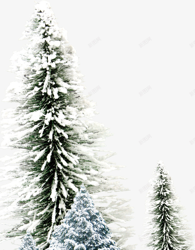 挂着积雪的绿色松树png免抠素材_88icon https://88icon.com 松树 积雪 绿色