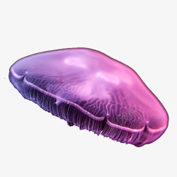 梦幻紫色海月水母素材