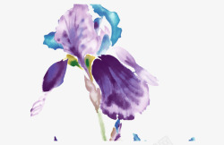 蓝紫色手绘水粉兰花素材