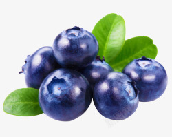 清新蓝莓绿叶素材