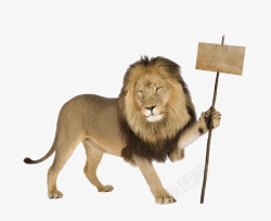 抗议的狮子素材