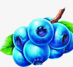 手绘卡通蓝莓水果素材