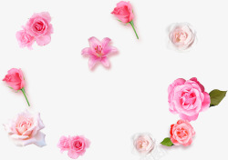粉色浪漫温馨花朵手绘素材
