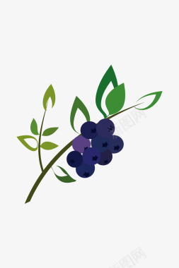 蓝莓植物图图标图标