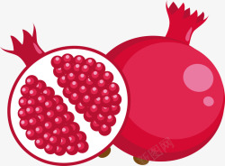 抗氧化食物红色石榴矢量图高清图片