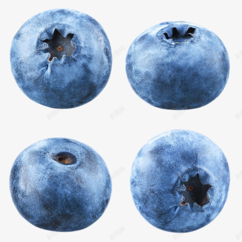 实物野生蓝莓png免抠素材_88icon https://88icon.com 免扣 免费下载 果树 水果 笃斯 美食 蓝色 蓝色浆果 野生蓝莓 食物
