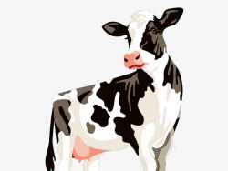 奶牛牛手绘插画素材