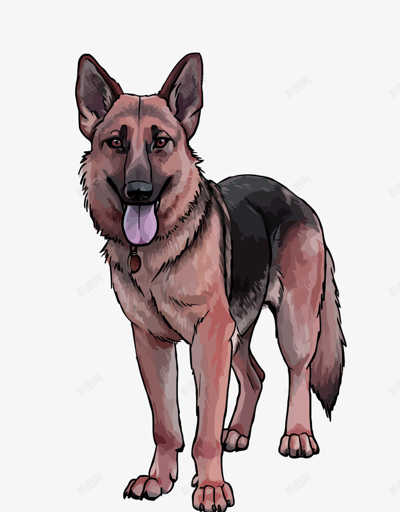 狼狗矢量图eps免抠素材_88icon https://88icon.com 宠物 宠物狗 小狼狗 手绘 水彩 牧羊犬 狼狗 矢量图 矢量狗