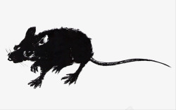 黑色简约水墨老鼠插画素材
