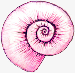 蜗牛青草图案粉色蜗牛壳高清图片