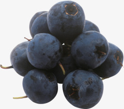 饱满多汁的蓝莓素材