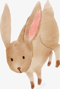 棕色的小兔子矢量图素材
