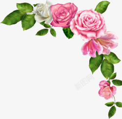 温馨装饰画手绘粉色温馨玫瑰装饰画高清图片